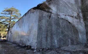 عروق طبيعية وتشطيبات تواكب أحدث الاتجاهات